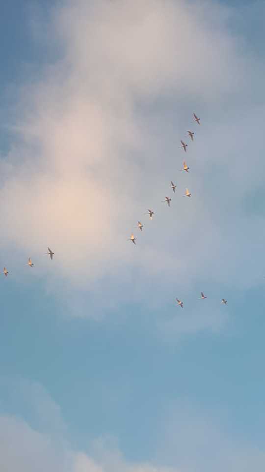 Разговор с сыном