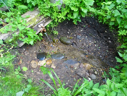 2021г. Одной рукою Вам дадут. 022к