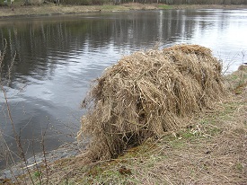 2021г. Шалаш построил и тебя. 033к