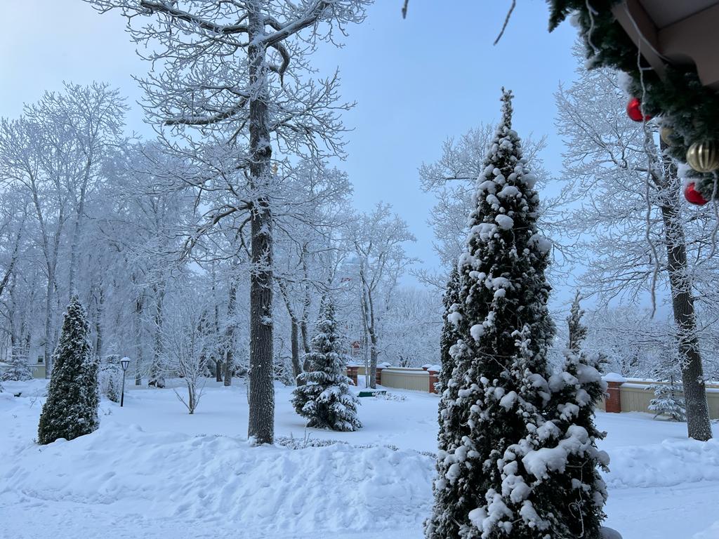 Утро Рождества