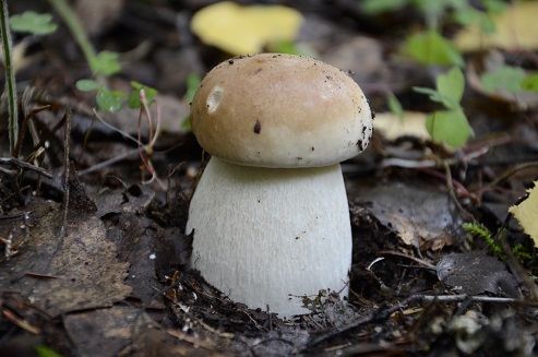 2021г. Мне тело хочется твоё. 045к