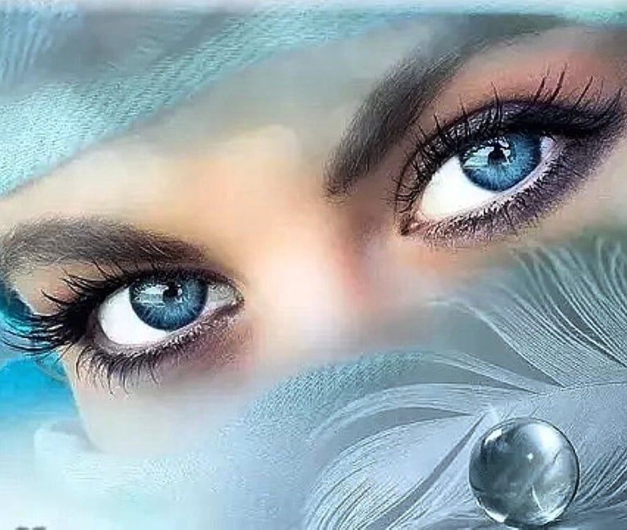 Зэнгэр кузлэр