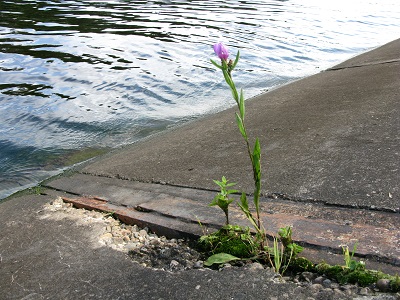 2021г. День новый в полночь начался. 047к