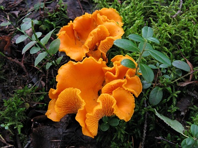 2021г. Не понимаешь ты меня. 049к