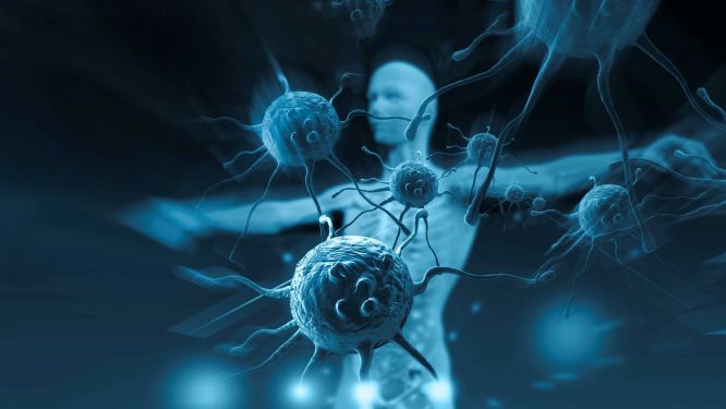 Вирус и бактерия