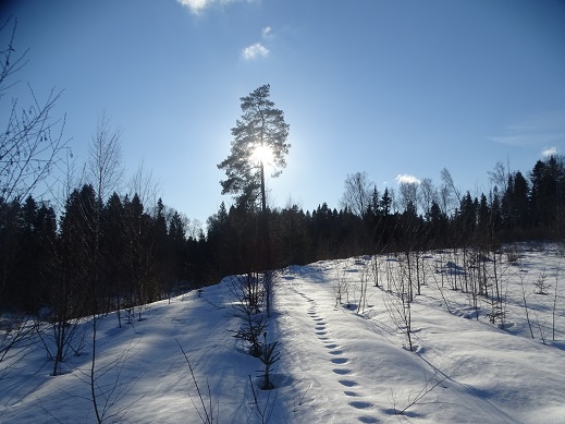 2021г. Как баба Снежная была. 050к