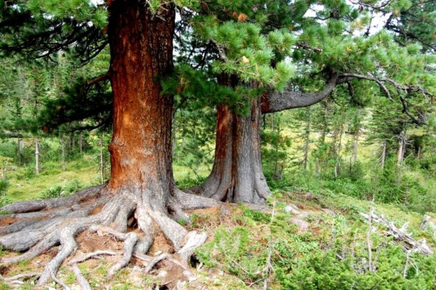 Утихнут рукотворные грома