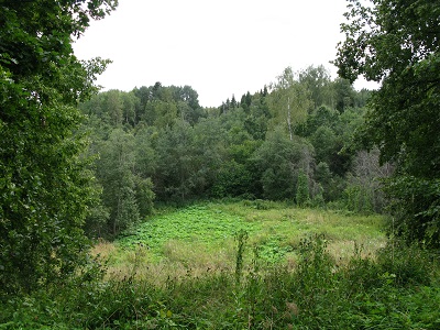 2021г. На ведьмин круг попал - хожу. 075к