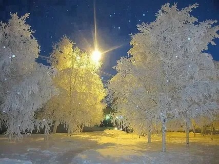 Холодом дохнула матушка-зима