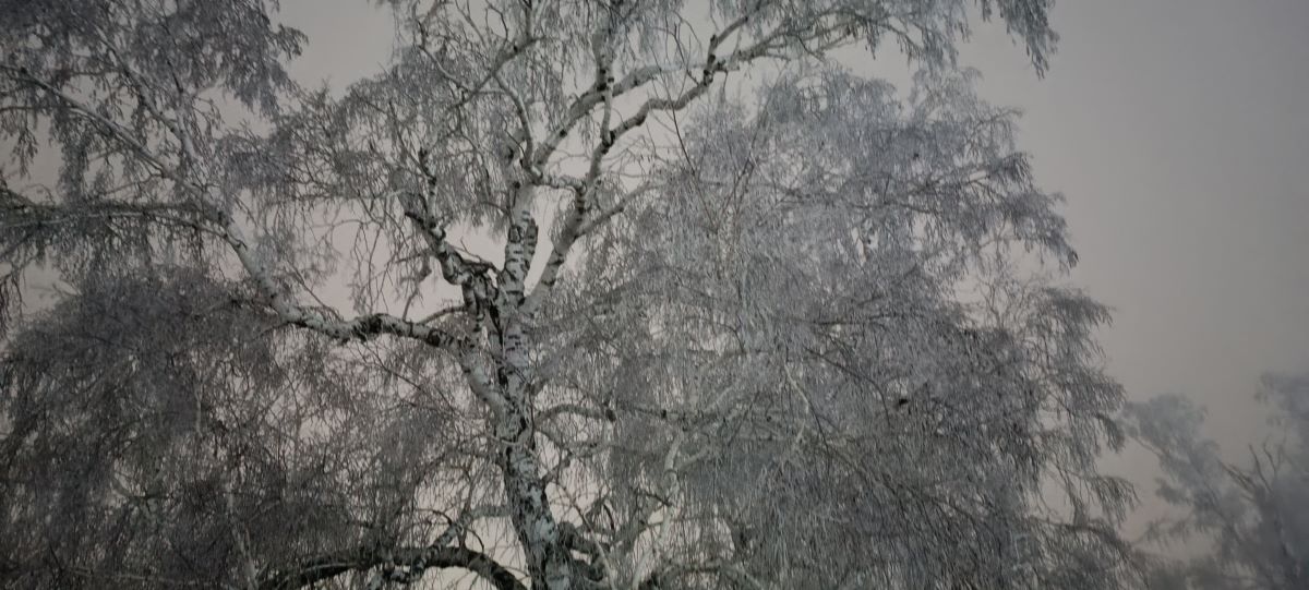 Чужое небо и дни в закат