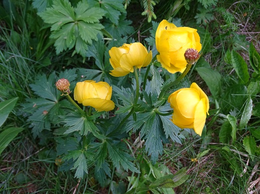 2021г. Письмо писалось под диктовку. 095к