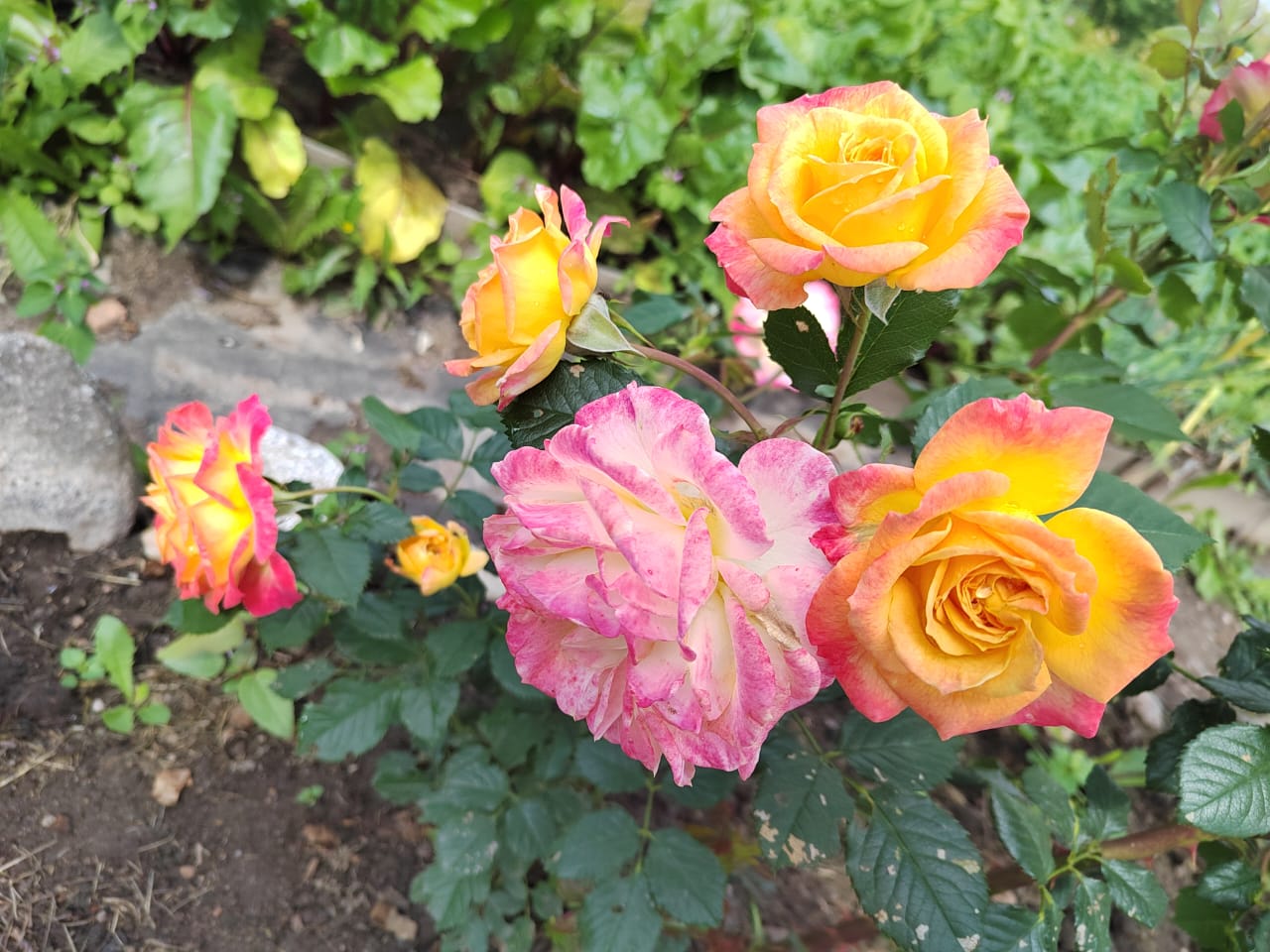 А я сейчас неправильно живу... (Надежда Новикова7) / Стихи.ру