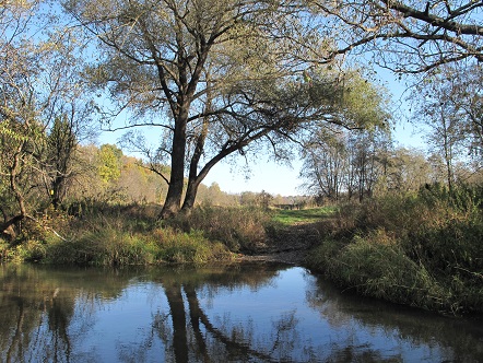 2020г. Опять погода не дала. 001в