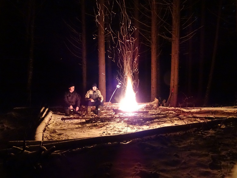 2020г. Смотрел в огонь как разгорался. 011в