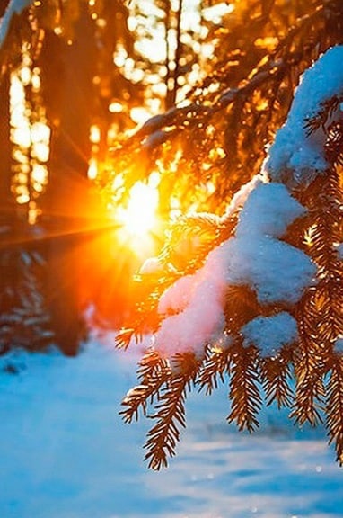 Да исправится молитва моя