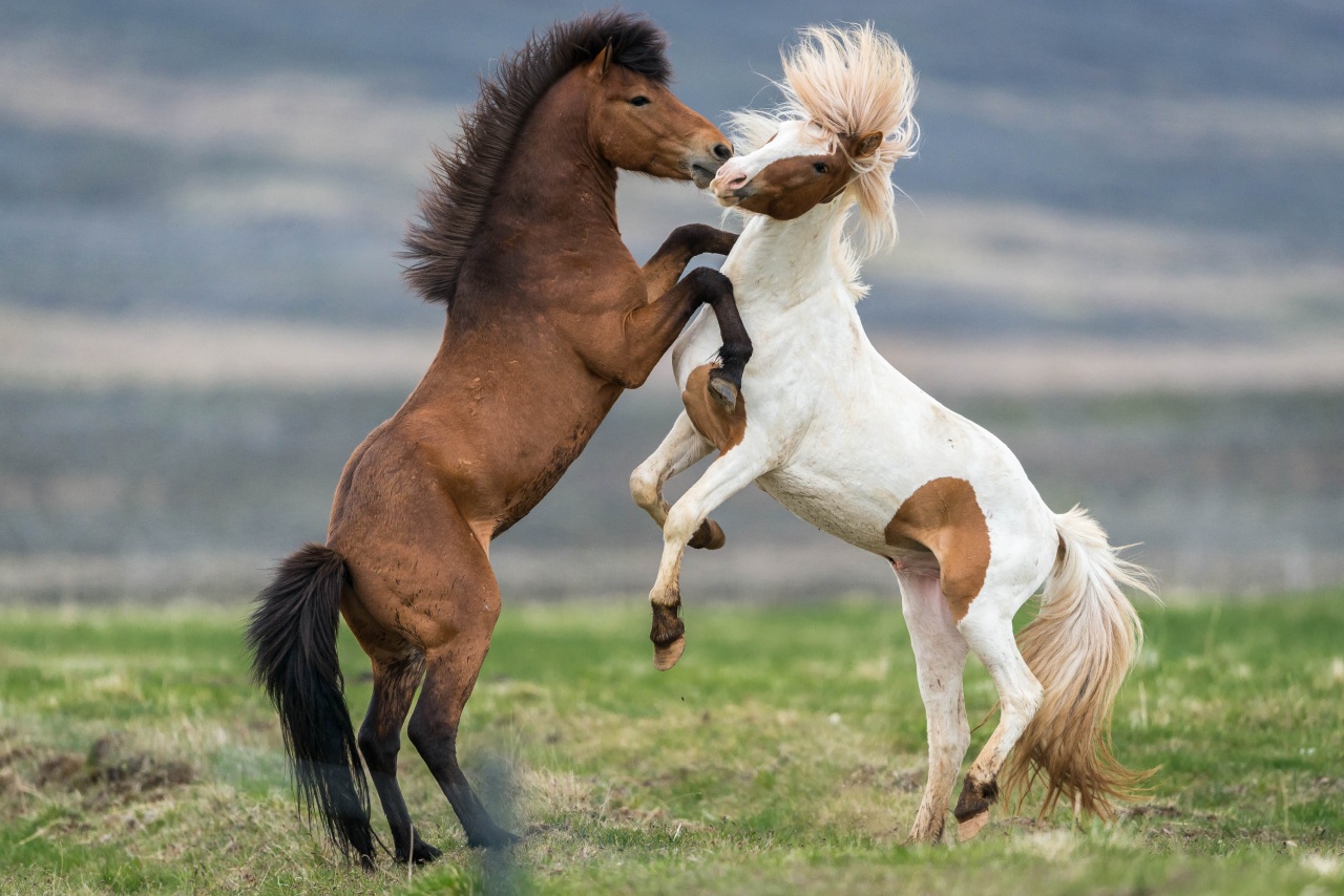 В системе дело