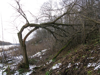 2020г. Жизнь нас ломает пополам. 016в