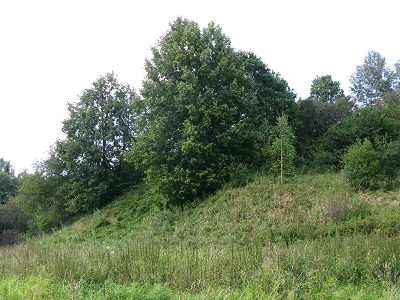 2020г. Под вечер дня и я сюда. 031в