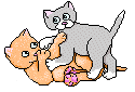 Мама трется киской. Котенок анимация. Анимированные Стикеры коты. Анимированные картинки кошки.