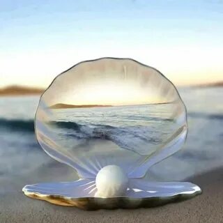 Океан жизни. Эпитафия