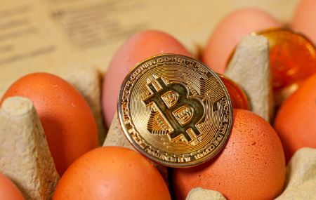 Свирепые яйца