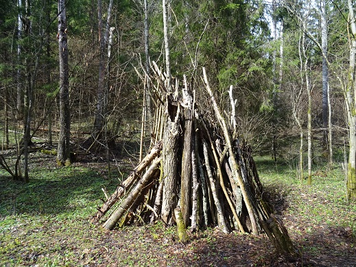 2020г. Трудней костёр разжечь в лесу. 036в