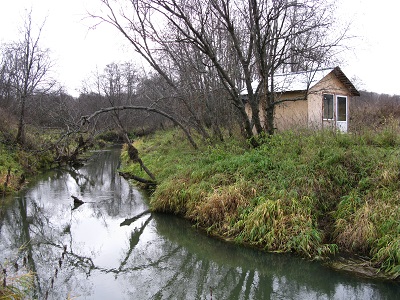 2020г. Хочу я в лес уйти с тобою. 043в