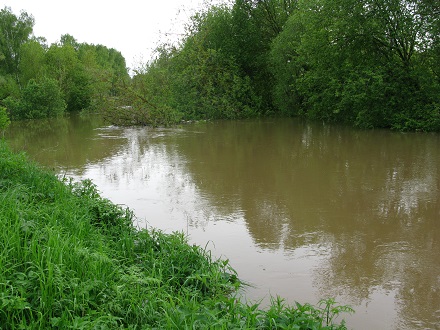 2020г. Река родная - Яхрома. 055в
