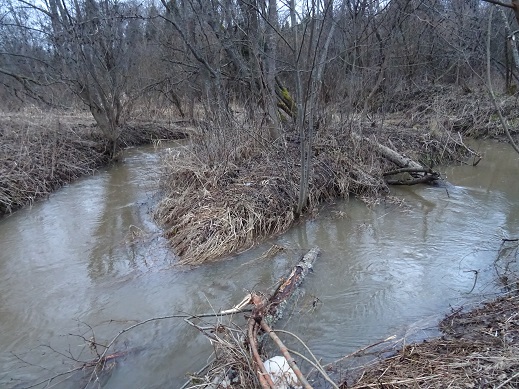 2020г. Река дорогу в лес мне перекрыла. 061в