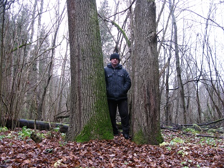 2020г. Меж двух дубов опять стою. 081в