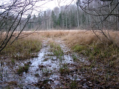 2020г. Хочу с тобою по дороге. 082в