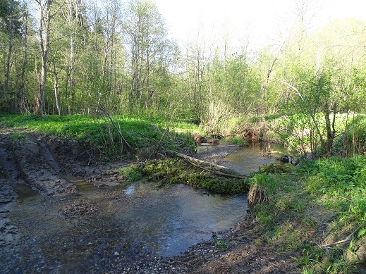 2020г. Меня звала ты на свидание. 092в