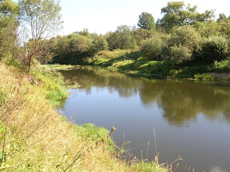 2020г. Костёр на речке разведу. 111в