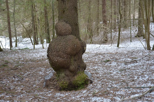 2020г. В лесу дрова я соберу. 114в