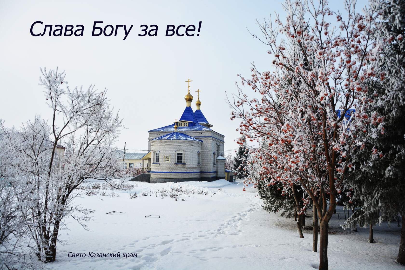 Хочу упасть на белый снег