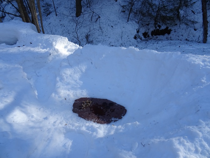 2020г. Под снегом белым и пушистым. 119в