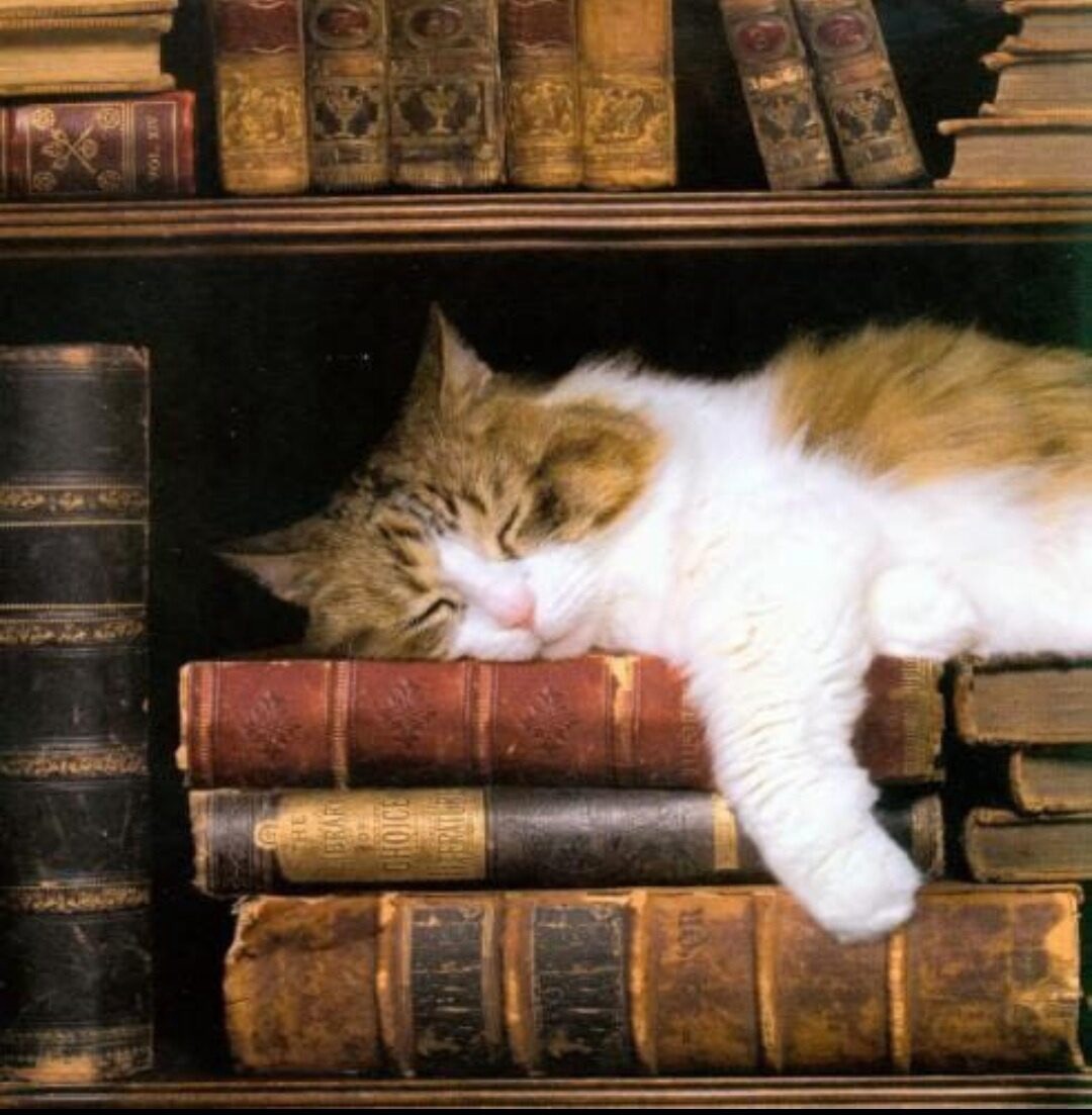 Ведь молчание- лучший друг