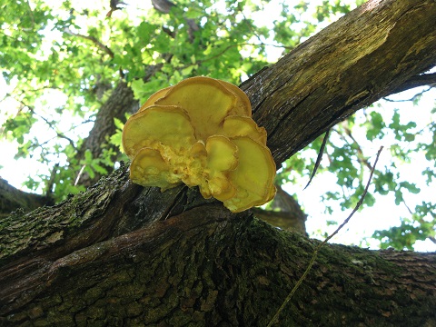 2020г. Вы начинаете опять. 131в