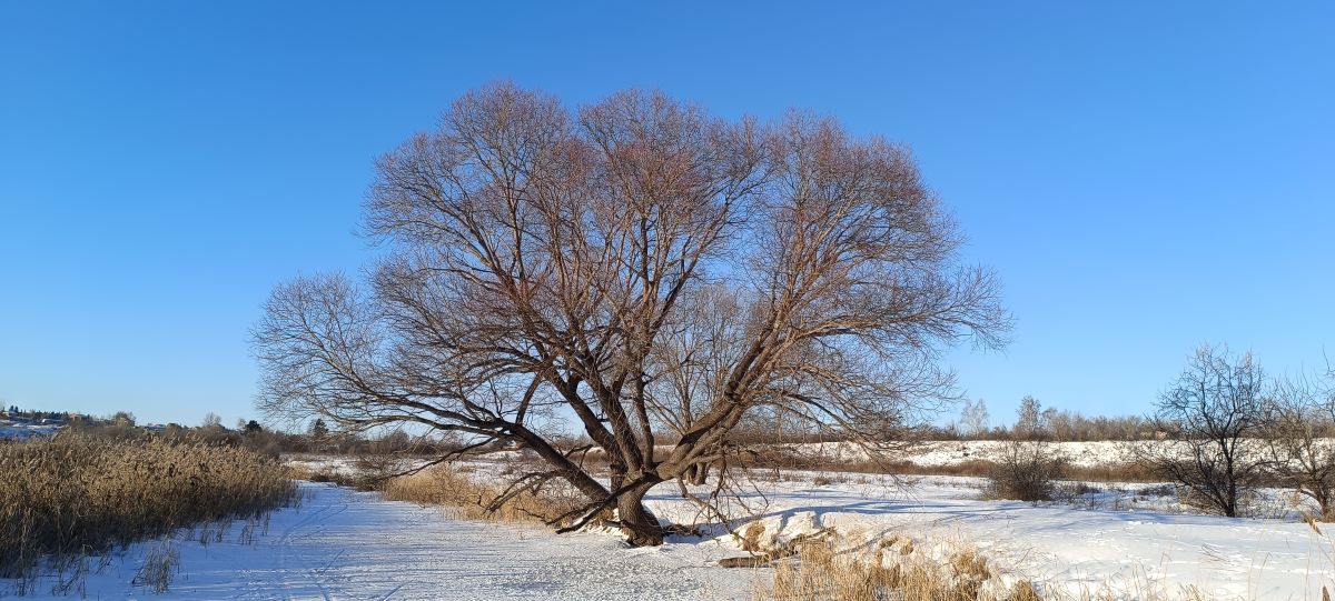Вспоминаем зимой лето