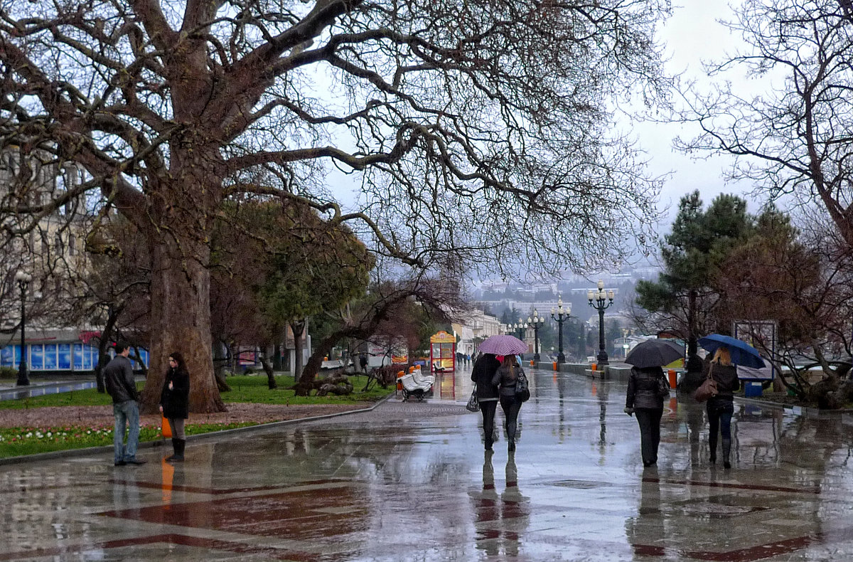 Январский дождь