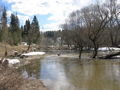 2020г. Река Волгуша так прекрасна. 145в