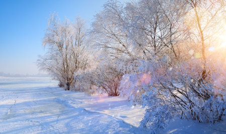 Сибирская зима