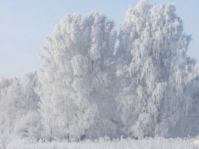 Но не для меня