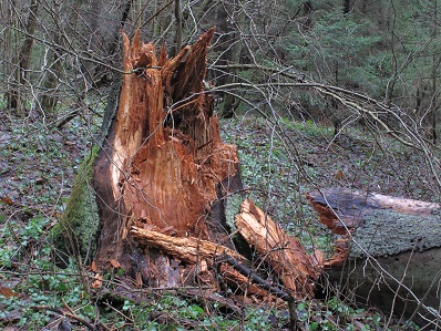 2020г. Чтоб как - то выделить себя. 183в