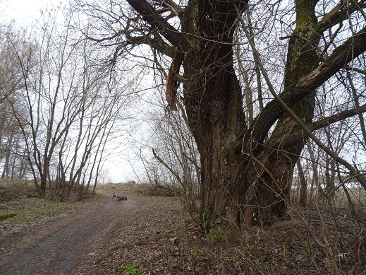 2020г. Я не могу проехать мимо. 199в