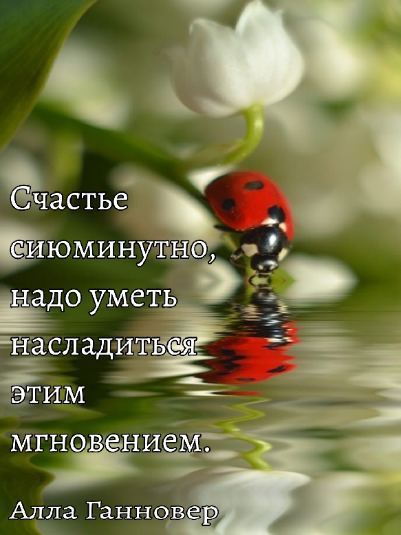 Из всех премудростей..