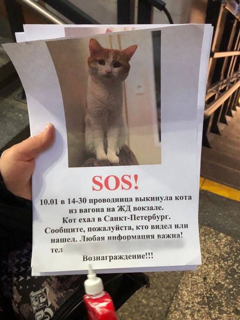 москва таллин на машине. москва рига карта маршрута. маршрут москва латвия на машине. можно ли сейчас поехать в латвию. санкт-петербург до латвии.