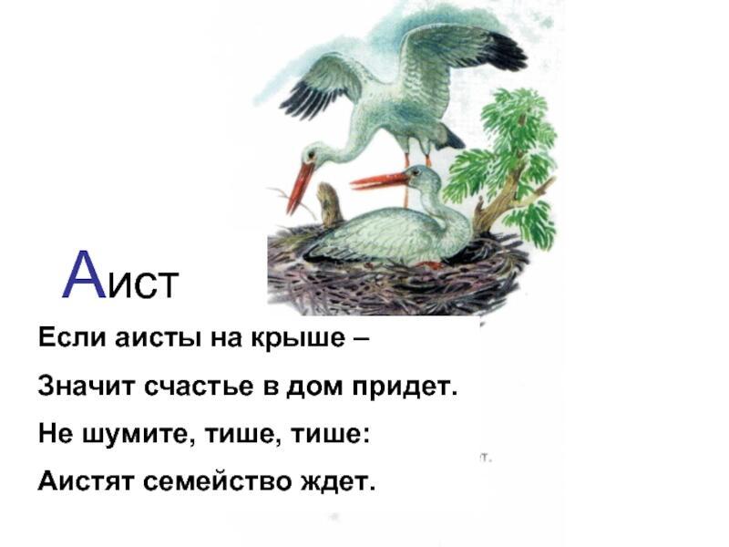 Песня аист на крыше караоке. Аисты на крыше. Аист на крыше слова. Аист на крыше текст. Аист на крыше песня.