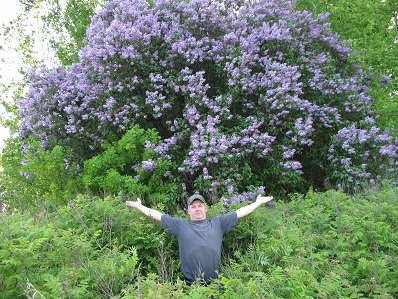 2020г. В лесу сирень младая распустилась. 209в