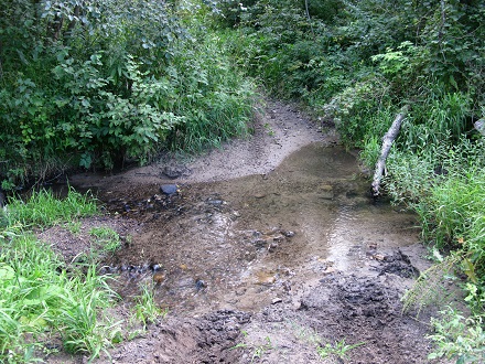 2020г. Пришла ненастная пора. 215в